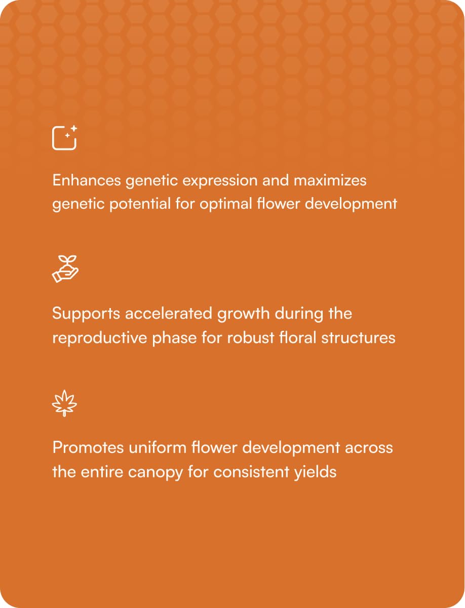 Liquid Flowering Nutrient 5 Gallons Z55570