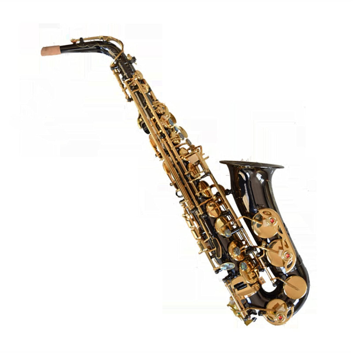 Black Nickel E Flat Alto Saxophone Set Y441