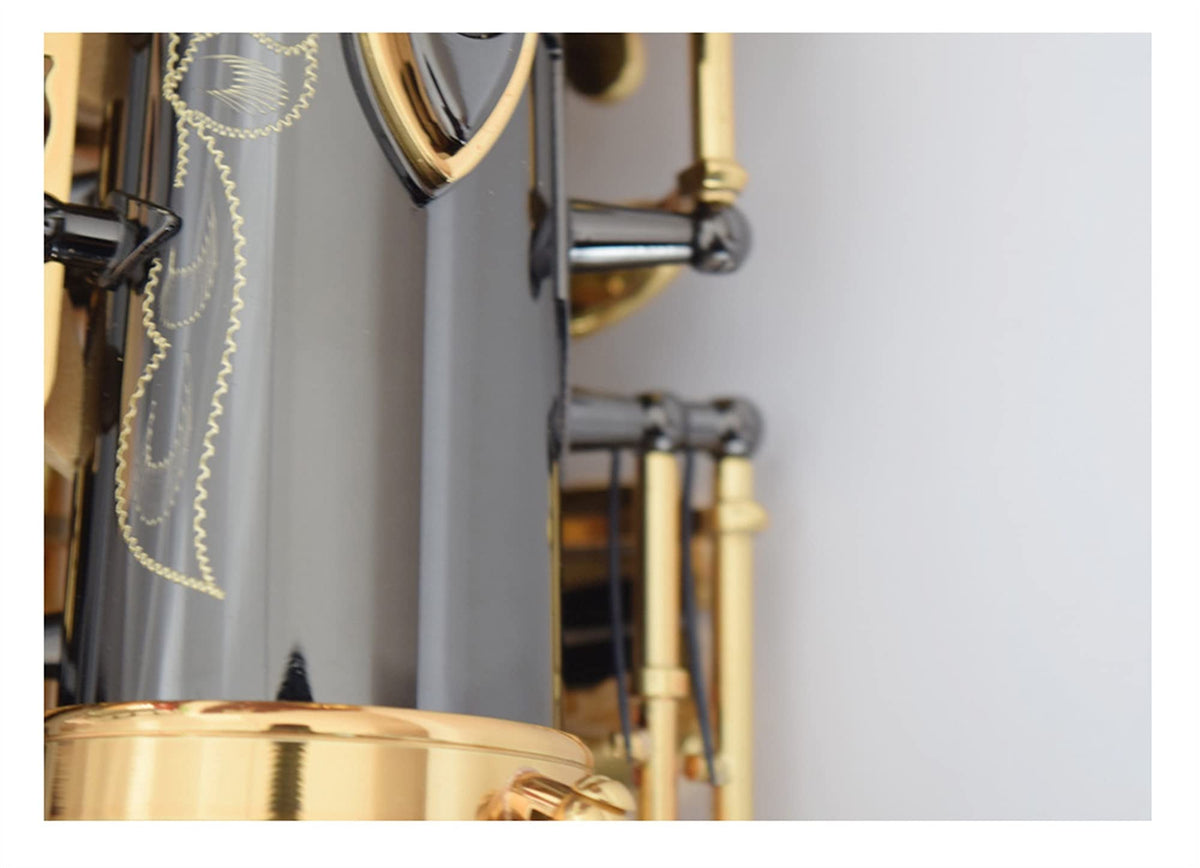 Black Nickel E Flat Alto Saxophone Set Y441