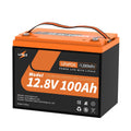 12.8V 100Ah LiFePO4 Deep Cycle Battery X659