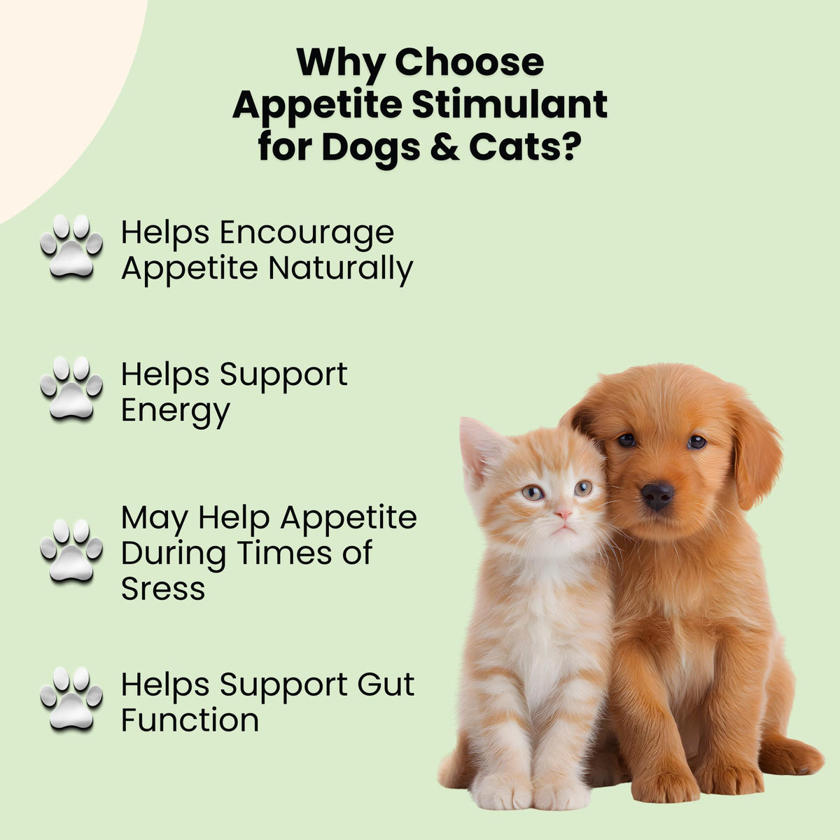 B12 Appetite Stimulant for Cats & Dogs 1 fl oz Roast Chicken Flavor Y4308