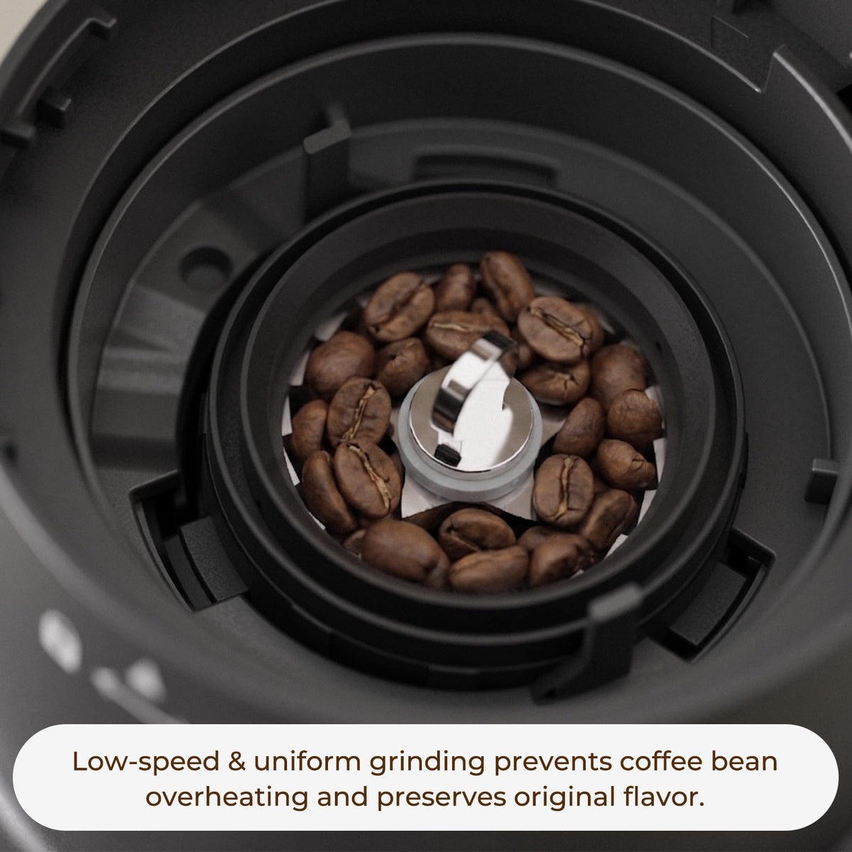 Conical Burr Coffee Grinder, 60 Settings, Black D771