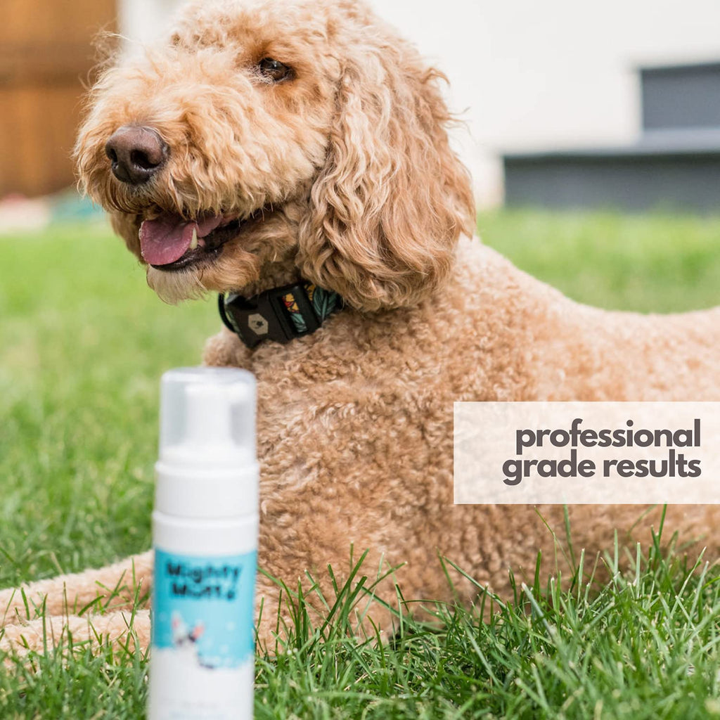 Hypoallergenic Waterless Dog Shampoo 8 fl oz Z99905