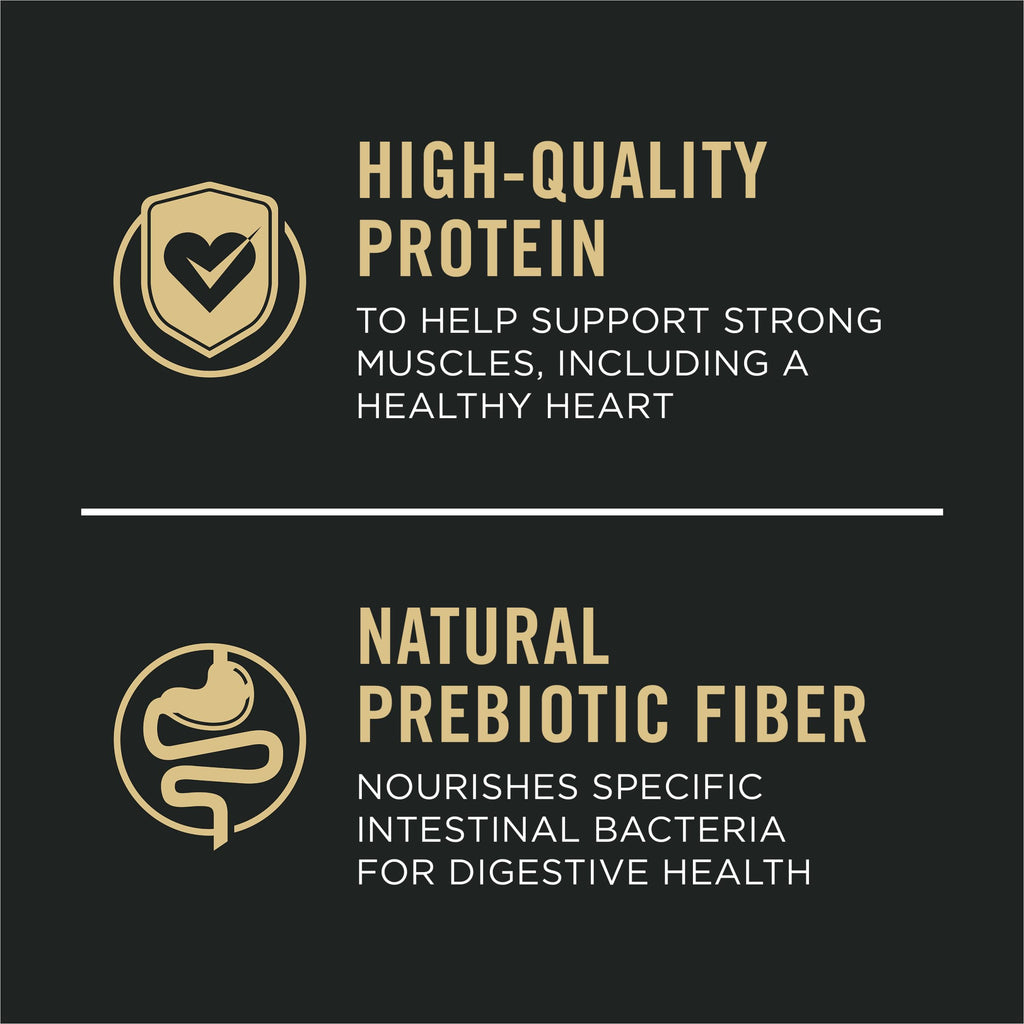 Salmon and Rice Dry Dog Food with Probiotics 15 lb H99999