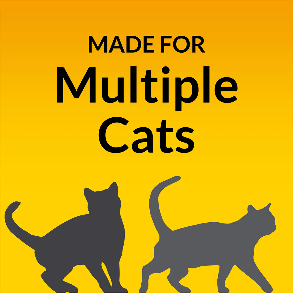 Clumping Cat Litter 6 lb Y349762