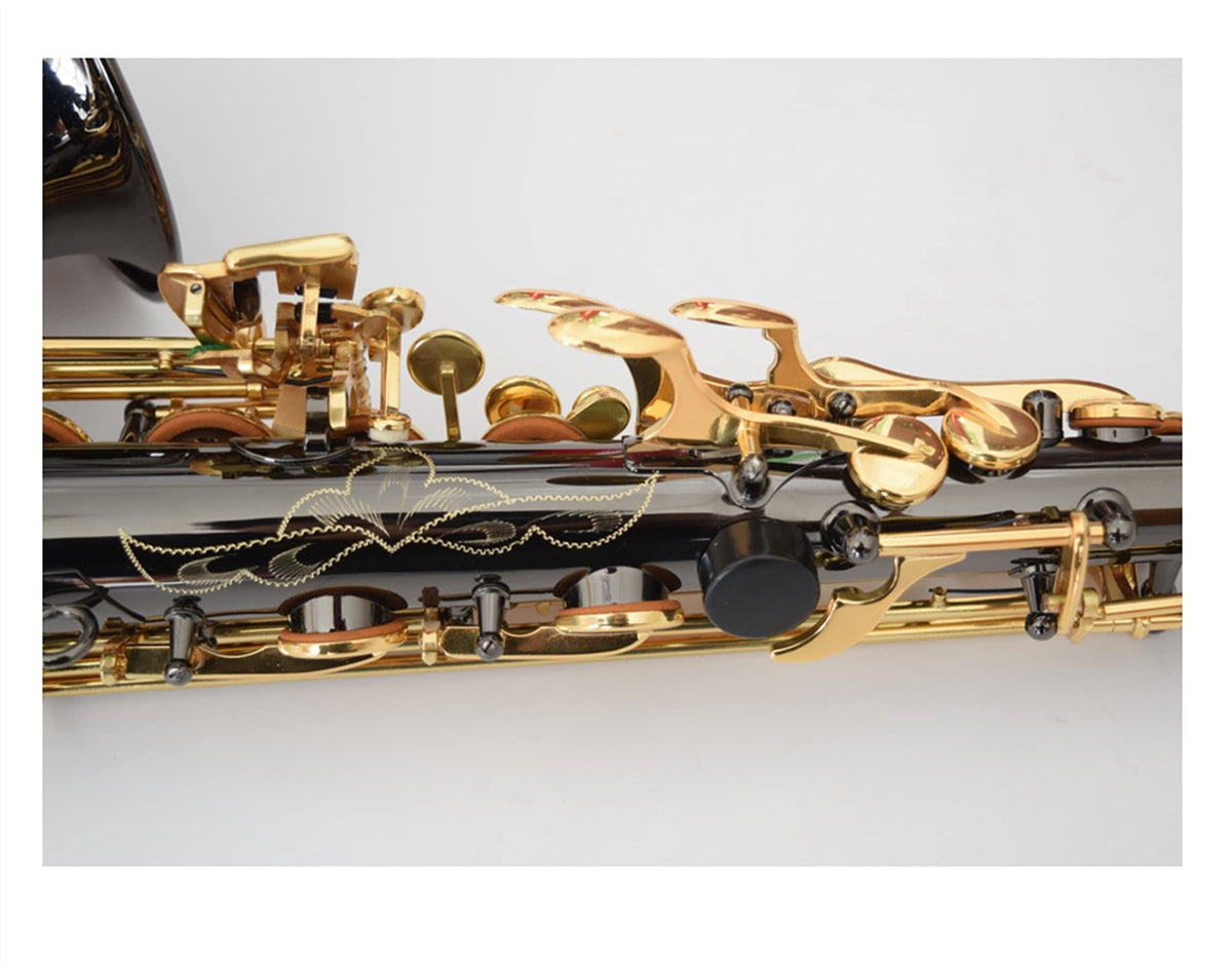 Black Nickel E Flat Alto Saxophone Set Y441
