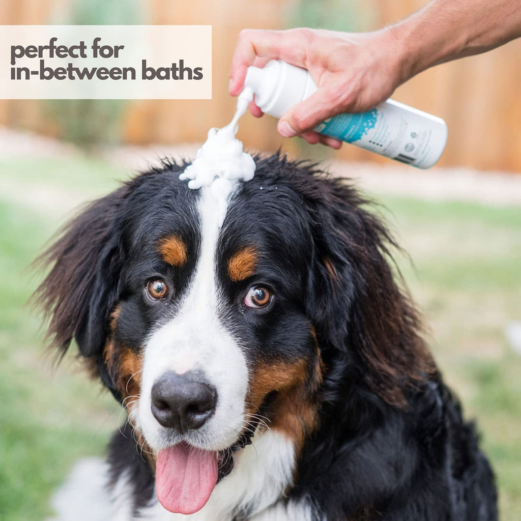 Hypoallergenic Waterless Dog Shampoo 8 fl oz Z99905