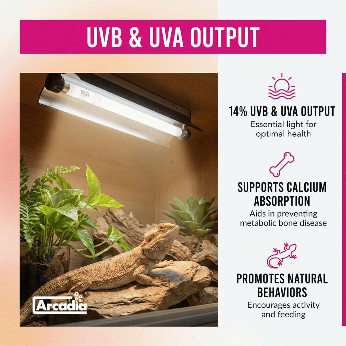 24" 24 Watts 14% UVB Reptile Light Fixture Kit B24122