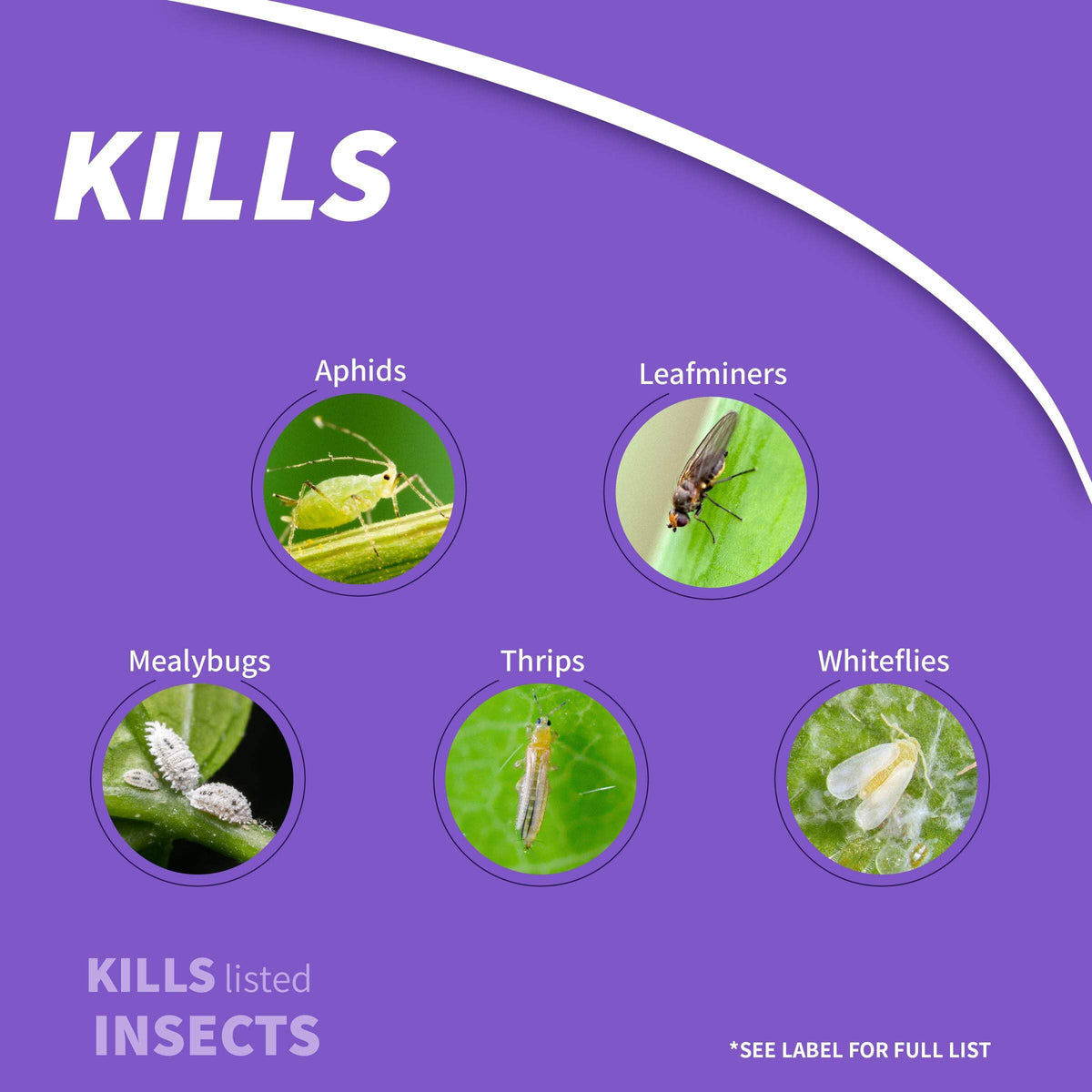 1 lb Insect Killer Granules C284