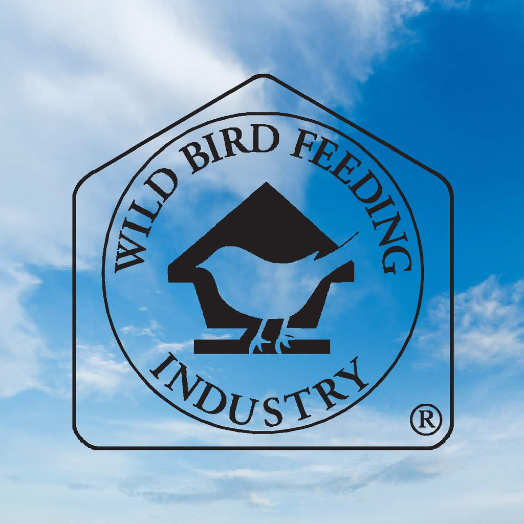 Black Oil Sunflower Wild Bird Seed 20 Pound Bag S313950