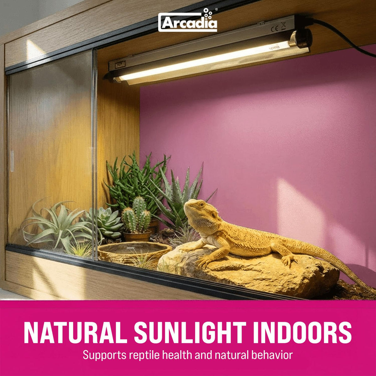 24" 24 Watts 14% UVB Reptile Light Fixture Kit B24122