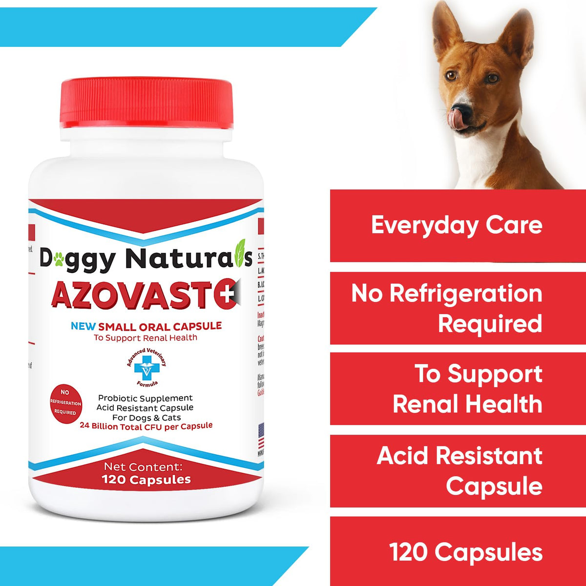 Kidney Probiotic Supplement for Dogs Cats 24 Billion CFU 120 Caps R10708