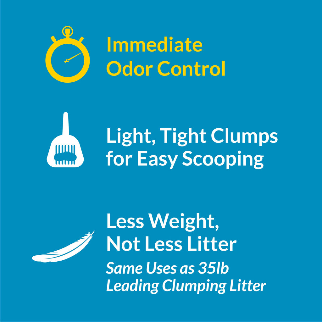 Clumping Cat Litter 6 lb Y349762
