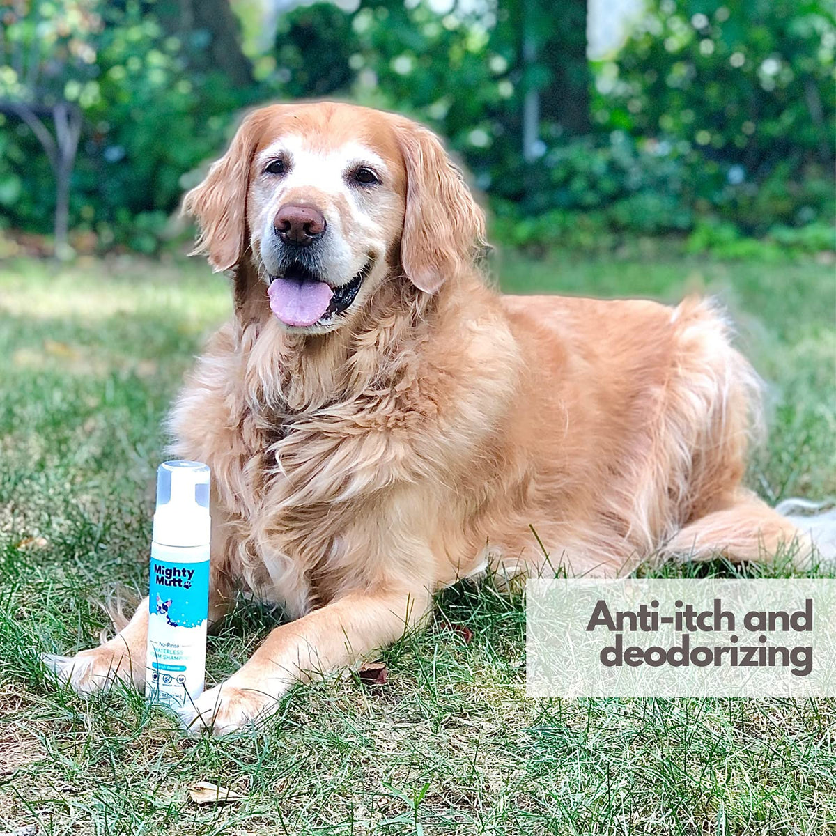 Hypoallergenic Waterless Dog Shampoo 8 fl oz Z99905