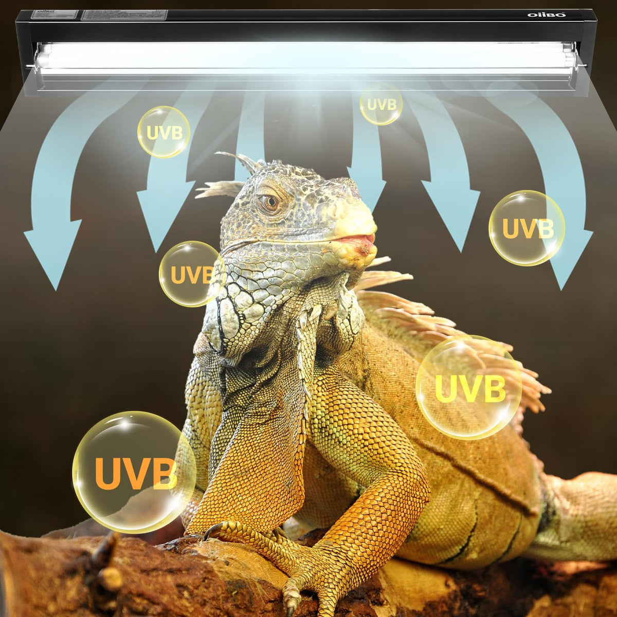 24W UVB 10.0 Reptile Light Fixture Combo Kit M729