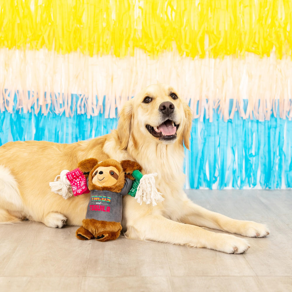 Plush Dog Toy T345696