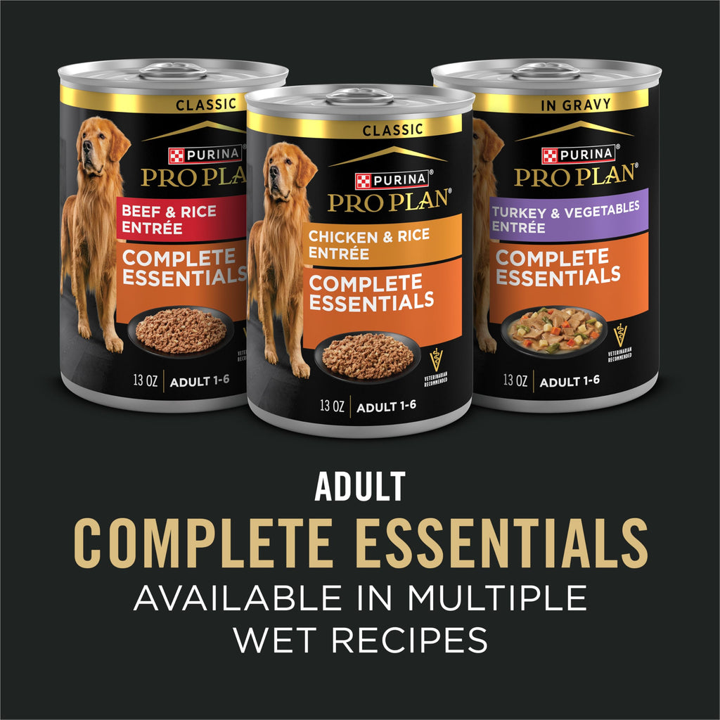 Salmon and Rice Dry Dog Food with Probiotics 15 lb H99999