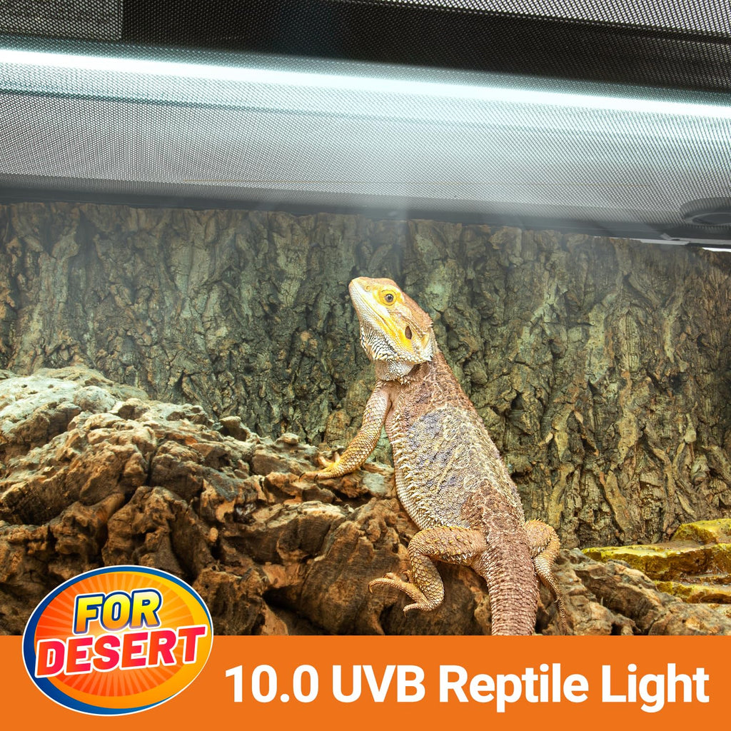 24W UVB 10.0 Reptile Light Fixture Combo Kit M729