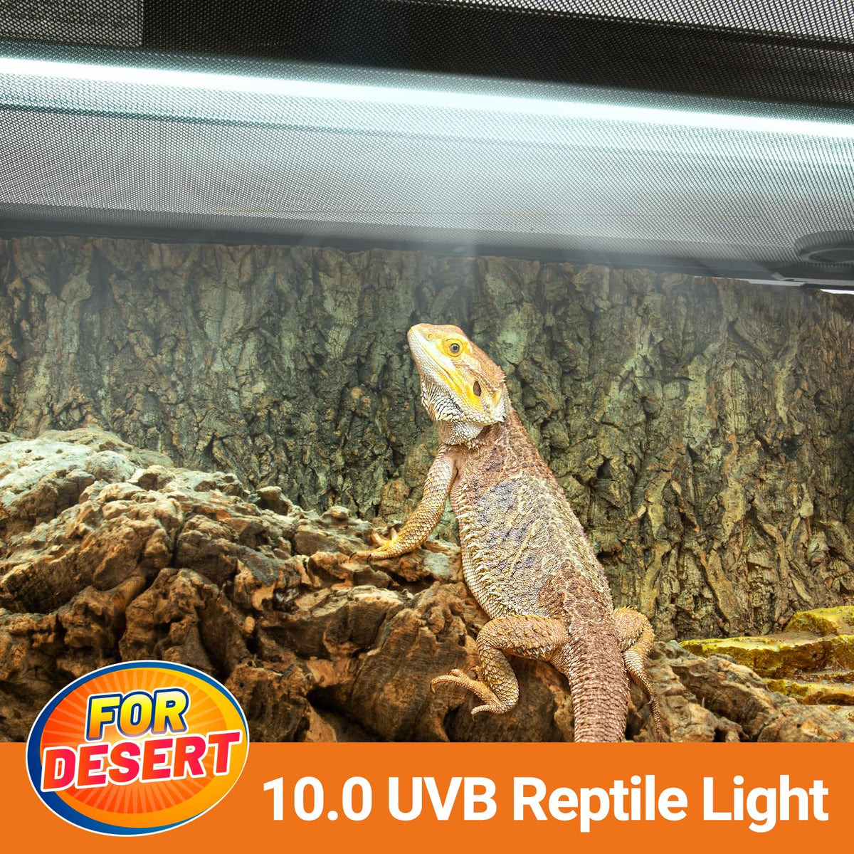 24W UVB 10.0 Reptile Light Fixture Combo Kit M729