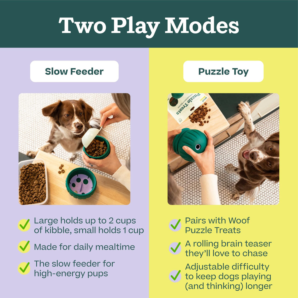 Dog Puzzle Slow Feeder Toy A39514