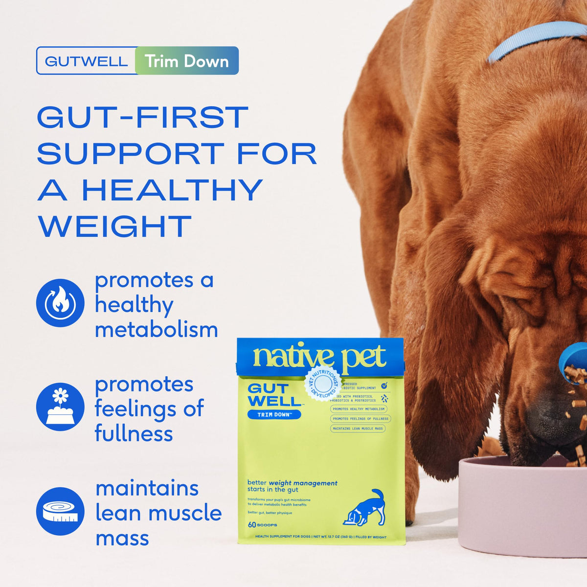 Weight Management Dog Food Topper & Supplement I6476