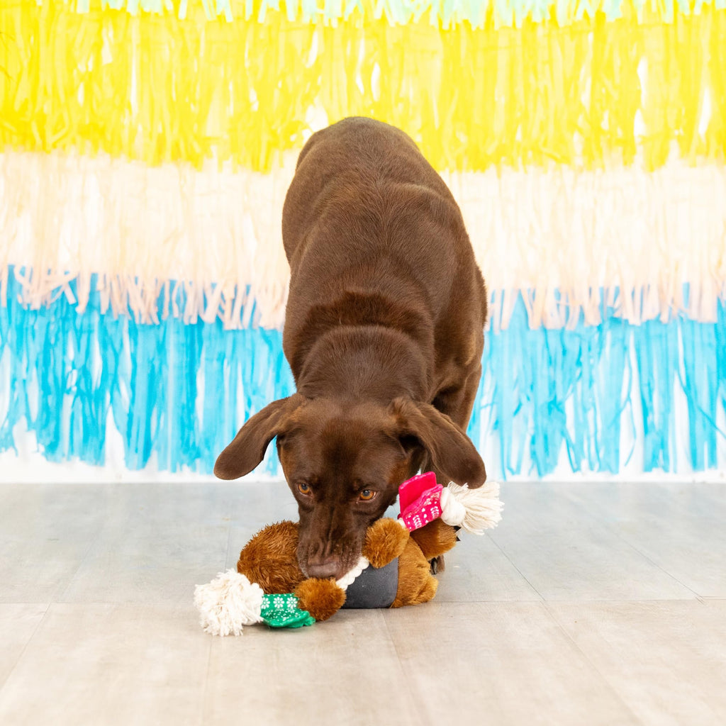 Plush Dog Toy T345696