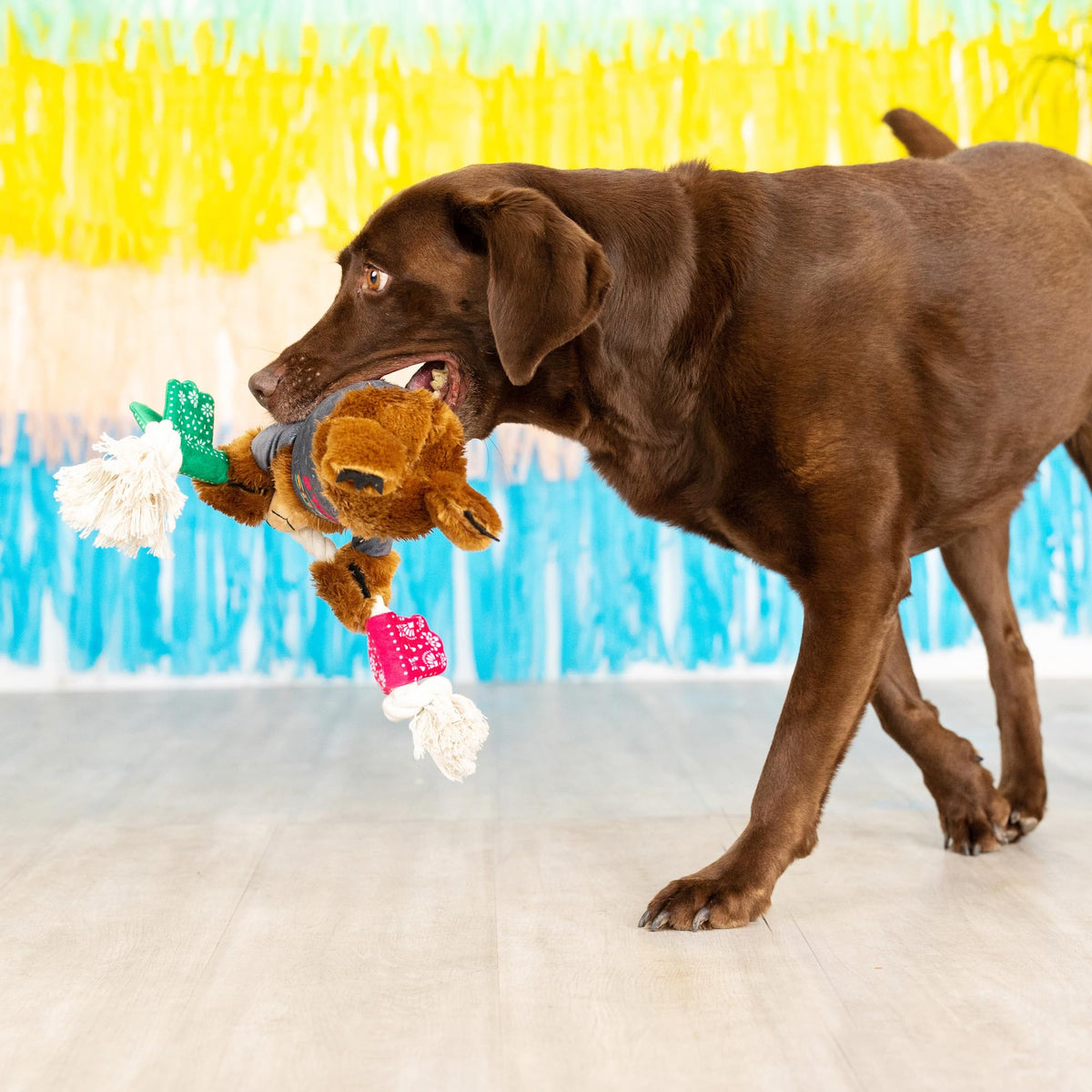 Plush Dog Toy T345696